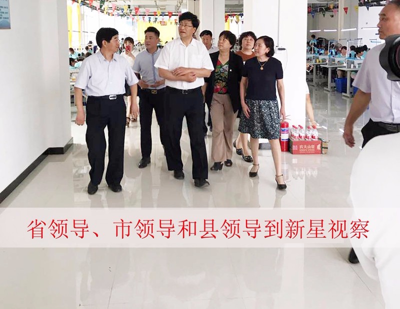市领导，县委书记和新星总经理视察和指导3