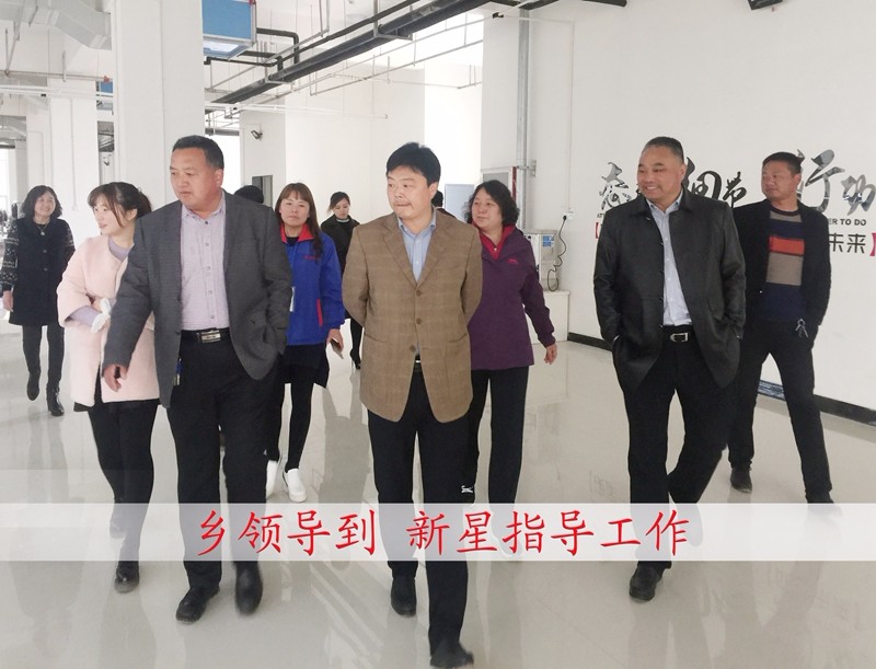 乡领导到新星指导工作2